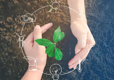 Ayçiçek Yağı Üretiminde Sürdürülebilirlik Uygulamaları