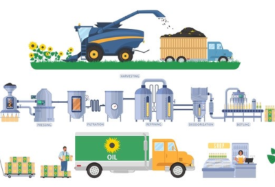 Kurulum & Devreye Alma